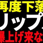 ⚠️超重要⚠️リップル（XRP）再度下落中！まさか⁉︎今後爆上げは来ない⁉︎【仮想通貨】