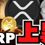 【🔥XRP上昇】トランプ効果！いったい何が？／仮想通貨に春？ビットコインはやや不安定か？／急上昇コインの秘密にせまる！