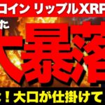 トランプ砲でビットコイン リップルXRPが大暴落も、全て仕組まれた動き。最強の買い場はここから！