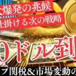 【衝撃展開】XRPが100ドルに到達する条件！トランプ関税＆市場変動の全貌！【仮想通貨】【リップル】