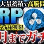 【リップル(XRP)】10月までガチホ推奨！現物ETF承認やクジラ大量蓄積で高騰までのカウントダウン！押し目買いチャンス到来【仮想通貨】