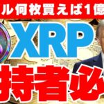 【XRP保持者必見】リップル何枚買えば1億円儲けられる？【XRP】【リップル】【仮想通貨】