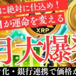 【XRP大爆発間近】3,000枚あれば億り人？3月までに仕込む理由とは？【仮想通貨】【リップル】