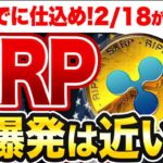 【XRP急騰予兆】3月に向けた大波が来る！2月18日を逃すな！【仮想通貨】【リップル】【XRP】