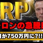 【緊急】イーロンの急騰暗示？！リップル（XRP）360円→750万円　暴騰を予見する未来を解析！！