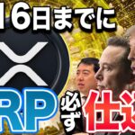 【リップル(XRP)】4月16日までに爆上げ！？XRP以上の爆上げ銘柄も大公開！仮想通貨最新情報【仮想通貨】【仮想通貨バブル】