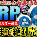 【リップル(XRP)】7月まで絶対売るな！世界金融にリップルネットが採用の可能性！今後の高騰に向けて仕込むなら今【仮想通貨】