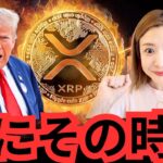 【速報】XRPリップルETFがついに最終審査へ！ビットコイン市場にポジティブなサイン？