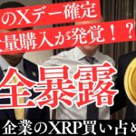 【革命】ブラックロックのXRP買い占め計画！？大手銀行＆ETF参入で市場激変！【仮想通貨】【リップル】
