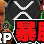 【🔥XRP解説】リップル急騰！ETF申請が承認！…ってどういうこと？／ビットコイン500万ドル説ってほんと？もはや大喜利大会／ソラナ系ミームが上昇中！