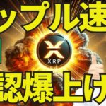 【XRP速報】リップルETFがブラジルで承認🔥400円を超え！時価総額2位も狙えると思う！