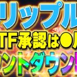 【リップル(XRP)】仮想通貨最新情報！リップルETFやソラナETFが待機中！2025年誰でも億れるぞ！！【XRP最新情報】