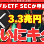 【XRP】リップルETF、SECが申請受理で実現に一歩近づく【リップル】【仮想通貨】