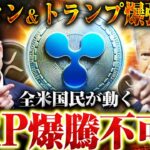 【XRP(リップル)最新情報】ETF承認とトランプ＆イーロンマスクの仮想通貨政策でXRPが爆上げ間近！【ビットコイン】