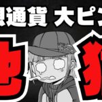 【💀下落】ビットコイン終了？今買うべきなの？／XRP、ETH、SOL最新情報／ミームコインやや回復か？
