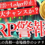 【XRPに暗雲】Ledger停止で市場操作説が浮上…機関投資家の裏工作とは？【仮想通貨】