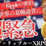 【XRP時代到来】トランプ×Rippleが手を組む！米国が仮想通貨市場を支配する未来！【仮想通貨】【リップル】
