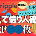 【XRP（リップル）で億る！】XRP何枚で1億円？【仮想通貨】