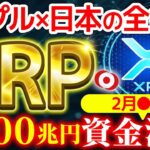 【XRP（リップル）】日本の銀行がxrp導入開始！トランプ政権とともにこの波に乗れないとBTC暴落と同時に終わる！【仮想通貨】【SHIB（柴犬コイン）】【エアドロ】【イーロンマスク】