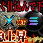 即見て❗️リップル or ソラナ ETF承認どっちが先？数ヶ月で資産増やすコインも暴露❗️#リップル #sol #仮想通貨