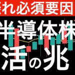 【上振れ必須要因】米半導体株に復活の兆し？日本の半導体は？