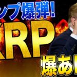 リップル【トランプ&イーロン】遂にリップルを認めた。長期的に勝ち組です！