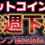 ビットコイン来週は下落に警戒？？トランプ新政権は本当に仮想通貨政策を進めるのか？？