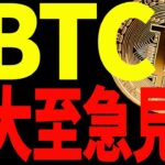 【仮想通貨】ビットコイン急反発もまだ危険⁉︎今後の重要ゾーンは〇〇！大至急見て！