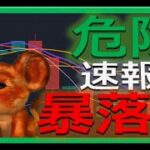【仮想通貨ビットコイン今後】暴落で稼ぐ！初心者でもわかるテクニカル分析