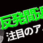 【期待】あのアルトコイン反発近いかも
