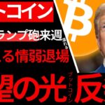 【天の恵み】ビットコイン、反発間近。今こそピンチをチャンスに買える絶好の買い場がわからん情弱は1年後泣く。情弱は廃れる