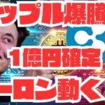 【衝撃】リップルが〇〇倍で一撃1億円！？イーロン・マスクの壮大計画が爆発的始動！【リップル】【XRP】【仮想通貨】