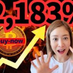 株価+2183%！“現金→ビットコイン”の時代へ