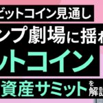 トランプ劇場に揺れるビットコイン、暗号資産サミットを解説～3月のビットコイン見通し～（松田 康生）【楽天証券 トウシル】