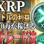 リップル最新！下落が最も収益を取れるチャンス！！3年で1億円を手にするロードマップ『トレジャーアイランド』情報解禁【ビットコイン】【シバコイン】【shib】【ドージ】【XRP】【doge】【仮想通貨】