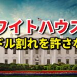 ホワイトハウスは9万ドル割れを許さない！ビットコイン大きく動く！日曜日に異例の大統領令、トランプの思惑は？