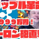 【激震】リップルが一夜で9999万円！？イーロンの衝撃宣言と暗号革命【XRP】【仮想通貨】