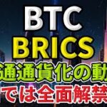 ビットコイン BRICSで共通通貨化の動き ロシアは取引推奨 中国では全面解禁か？