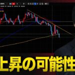 【ビットコイン分析】米国は世界のBTC超大国になる｜しかし暗号資産投資家は失望で売りの展開へ
