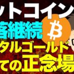 ビットコイン（BTC)！下落継続！85000ドル割れ！〜デジタルゴールドとしての正念場！