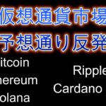 Cardano Ada、Ripple予想通り反発。ビットコインの今後の展開解説。暗号資産（仮想通貨）【BTC、ETH、SOL、ADA、XRP】