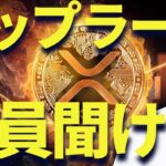 リップラー聞け！！耐えろ！！DOGEがSECと連携でアルトコインは注目される！