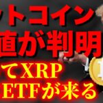 リップルSECと終結し次はETF承認に向けて進展！そしてビットコイン底値がついに見つかる。【仮想通貨 暗号通貨 ビットコイン FX リップル】