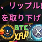 リップル対SEC：元ホワイトハウス当局者、SECはリップル訴訟を取り下げたと発言！- BTC XRP #xrp #リップル #xrp リップル