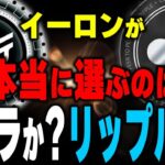 X決済はリップルとステラ本気でどっちか答えます。