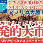 【金融革命】リップルがアフリカ決済を掌握へ！XRPが次世代インフラに進化する瞬間を見逃すな！【仮想通貨】