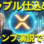 【XRP】リップル今仕込め🔥トランプ準備金が不発でも将来は強いと思わないか？