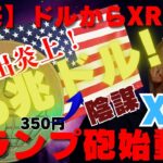 【到来】リップル（XRP）67億ドル！トランプ砲始動！米国がドルからXRPへ！