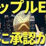 【XRP速報】リップルETFが2025年承認ラッシュか!?ビットコイン&アルトコインは復活できる🔥