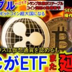 リップル（XRP)ETFをSECがまた延期⁉ホワイトハウスが仮想通貨を認めた！XRPは世界共通通貨へ！心配することはない今は仕込みの時！